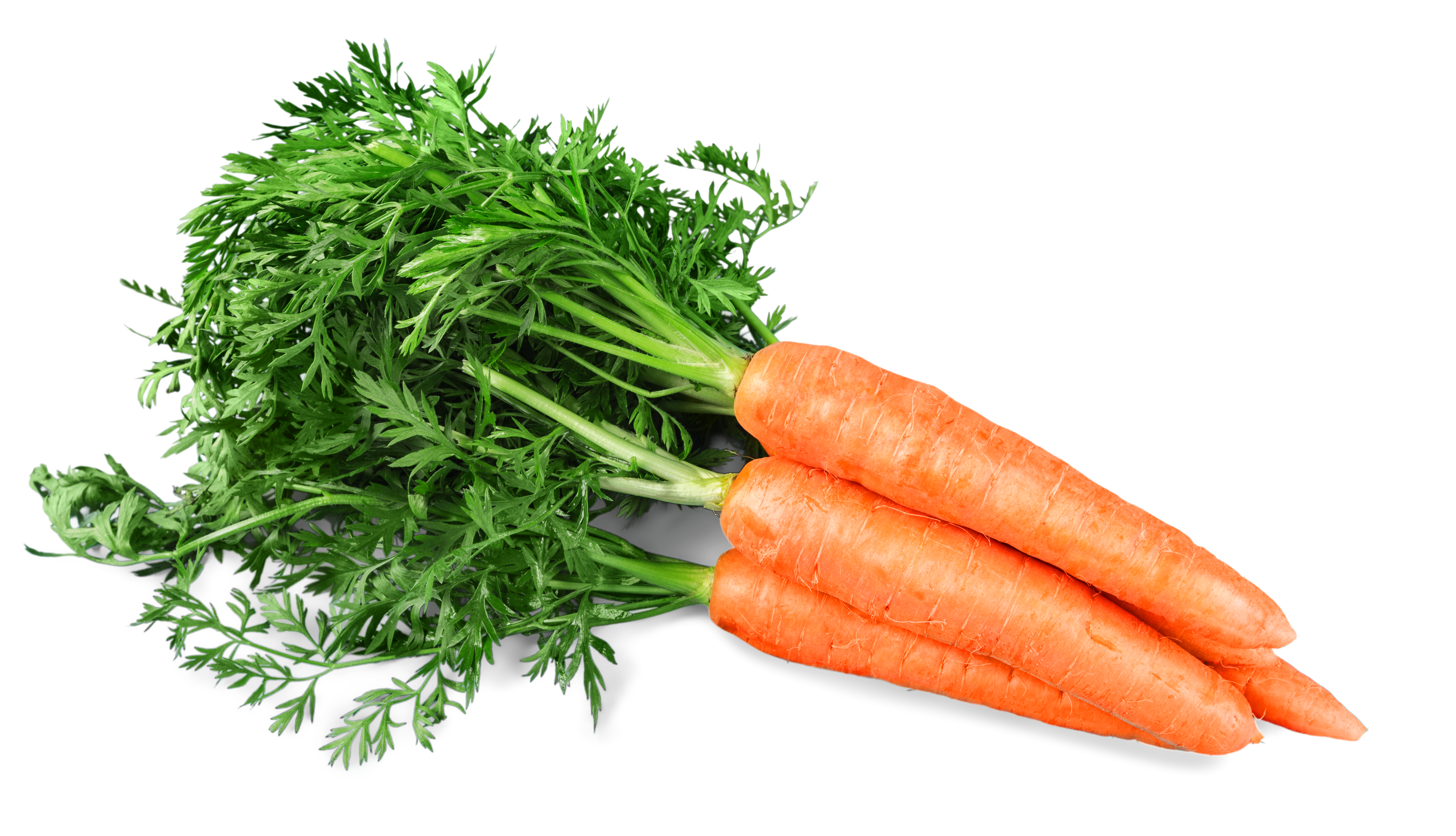 新鮮なにんじん